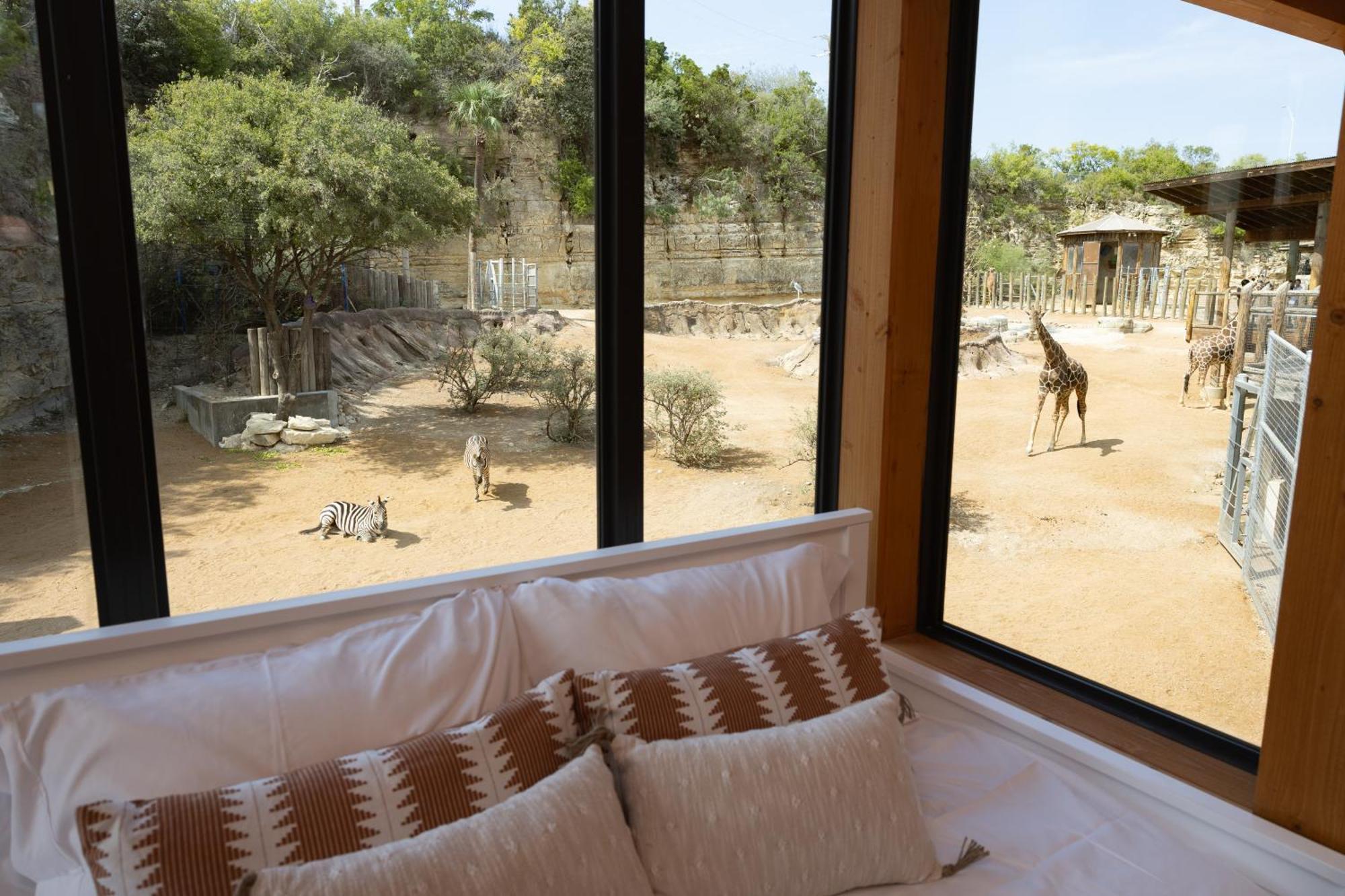 San Antonio Zoo - Spekboom Giraffe Lodge Екстериор снимка